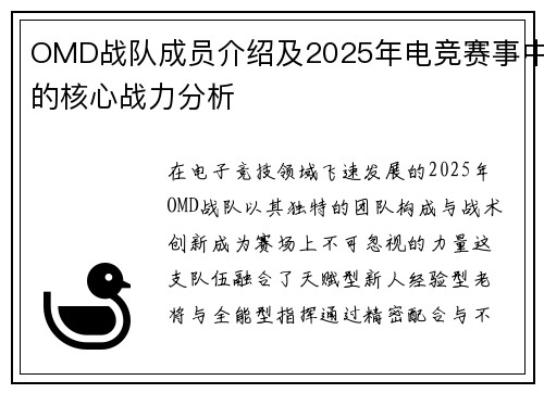 OMD战队成员介绍及2025年电竞赛事中的核心战力分析